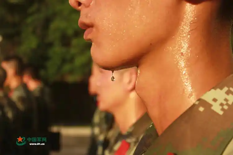 夏日炎值修炼手册武警官兵用汗水练就过硬本领