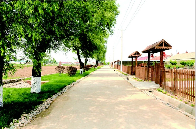 东花园村随处可见的景点