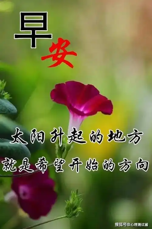 原创8张最新漂亮春天早上好问候动态鲜花表情图片春天早安问候图片带