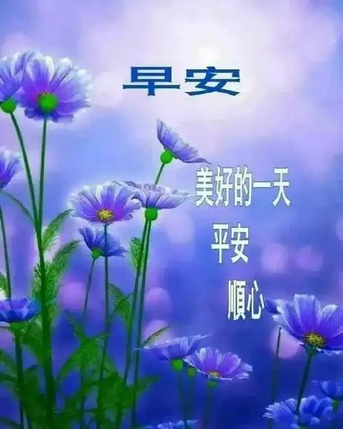 特别好看的早上好动态表情图片精选分享早上好暖心问候语短信