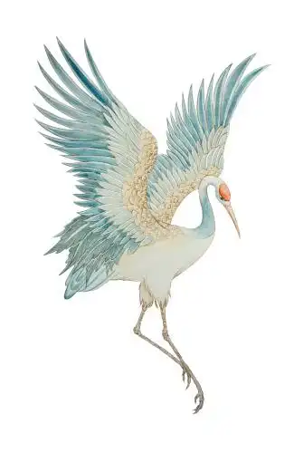 仙鹤元素手绘图案 仙鹤