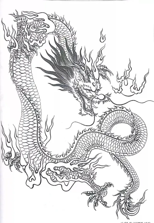 中国龙白描欣赏二0202学习的最佳范本