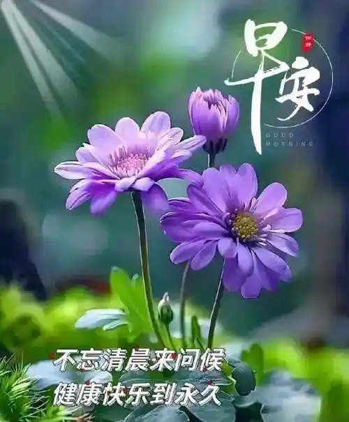 4月3日早上好最新精选早安唯美祝福图片早上好问候语