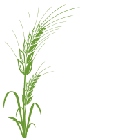 草帽诗社迎新年蓟州团建活动掠影