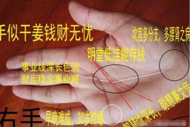 三约纹是手相中的吉祥财富象征出现在不同的掌中财富婚姻幸福
