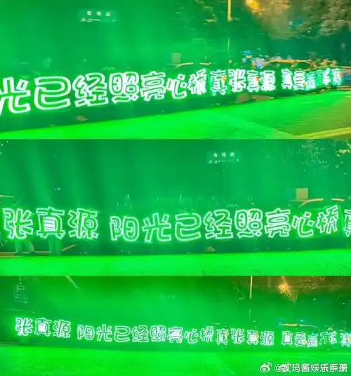 张真源贺峻霖线下应援灯牌排面好足