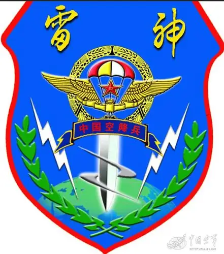 雷神突击队标志.