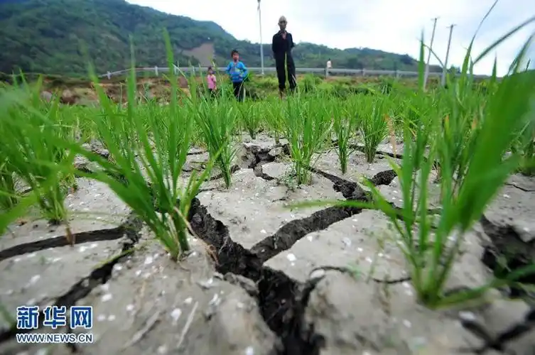 一组图见证气象灾害之干旱篇