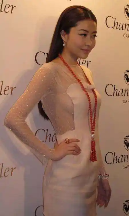 透视裙只服熊黛林! 胸前全靠一块布遮挡, 网友: 一个转身全看完了