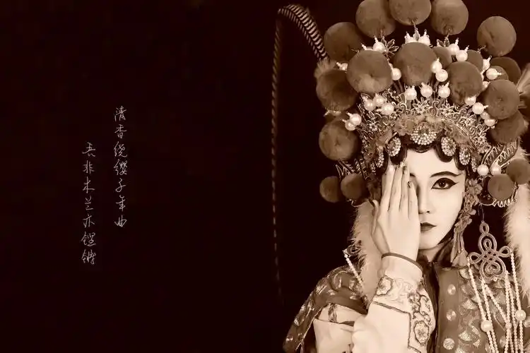 于是乎,信步走进转运楼戏院,戏曲装扮顿时吸引了我,前后五百多,注重的