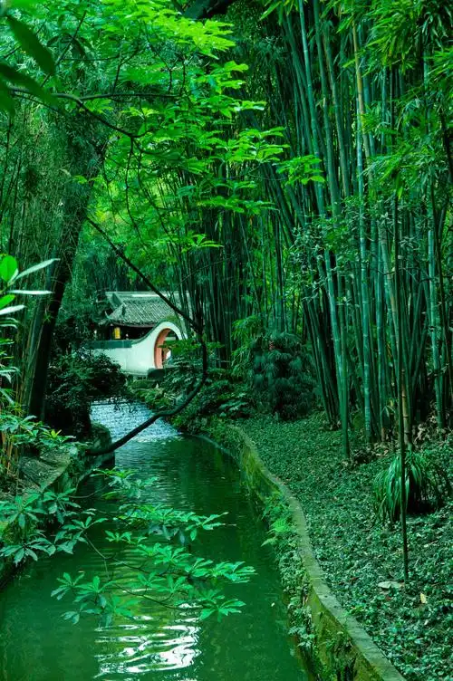 【绿竹味摄影图片】风光摄影_太平洋电脑网摄影部落