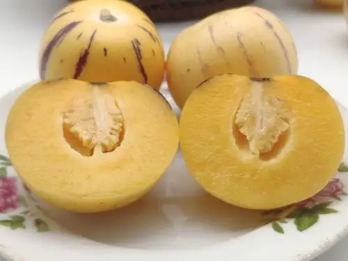 水果篇——人参果