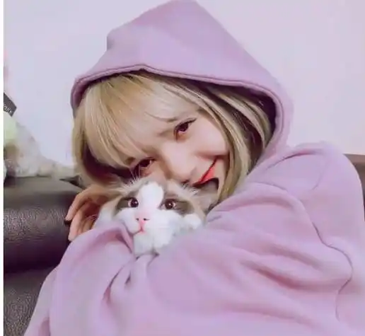 可人红是非多,有人爆出jennie曾霸凌lisa.