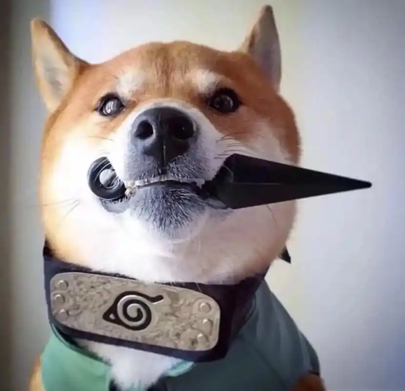 这才是成熟男人该用的大佬头像谁用谁不迷糊