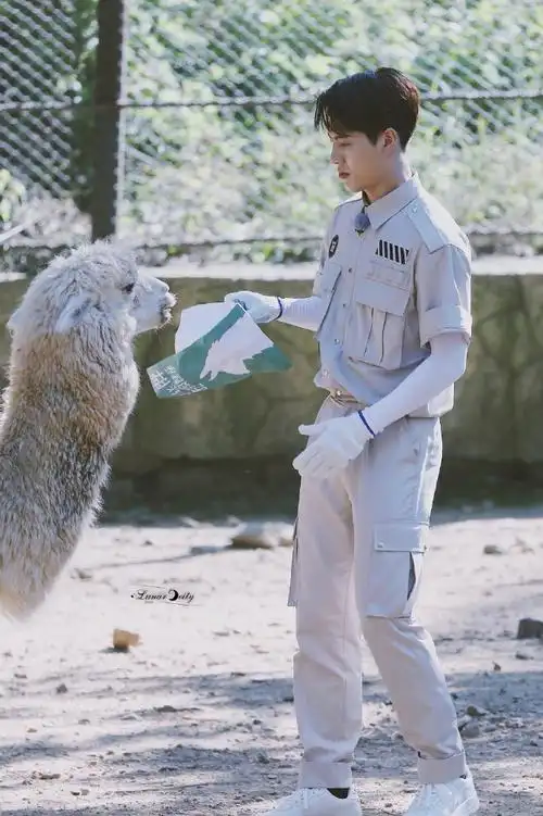 2021 07 24|综艺录制 全合集【小朋友的动物园之旅】#王嘉尔嗨放派