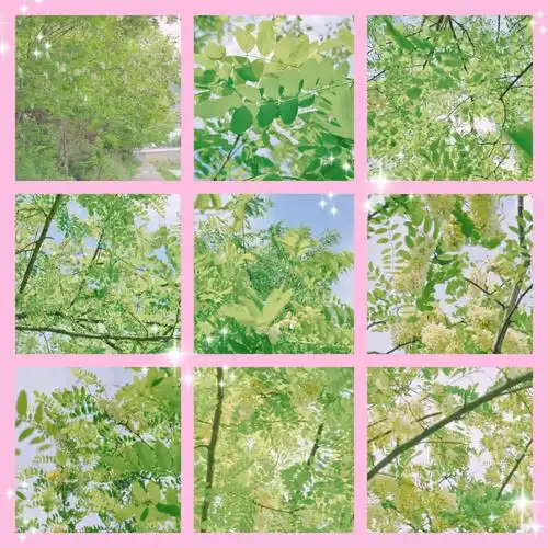 春天的绿色今日谷雨,春天的最后一个节气,即将步入夏天了#调色教程