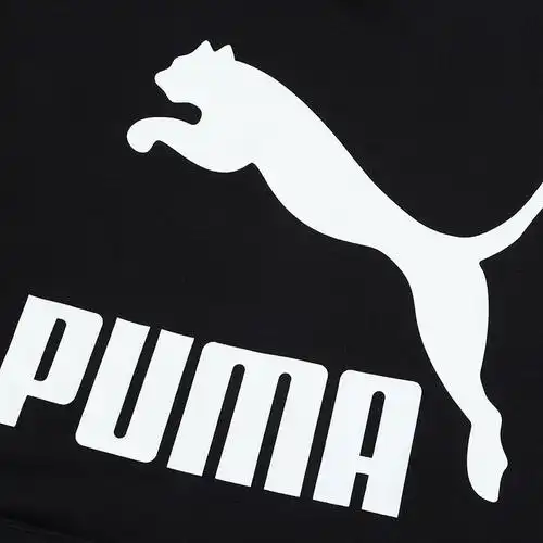puma 彪马 男子 classics logo hoody tr卫衣2pu59590701