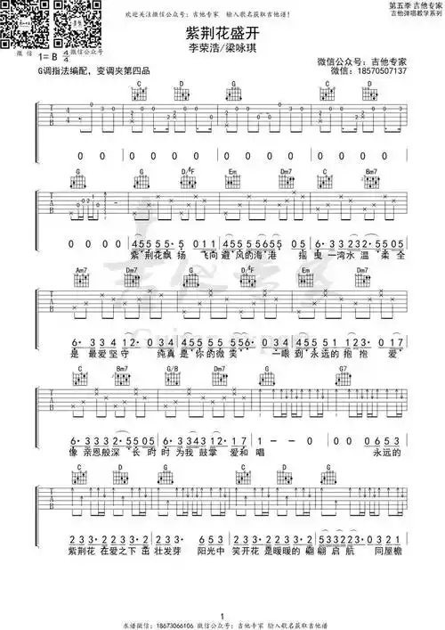紫荆花盛开g调吉他谱李荣浩梁咏琪