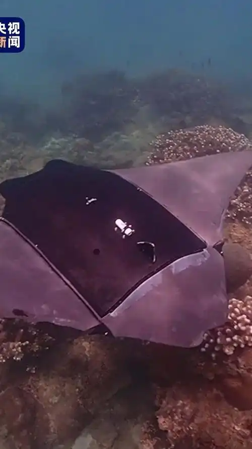 看仔细了,这是西北工业大学研制的"魔鬼鱼"