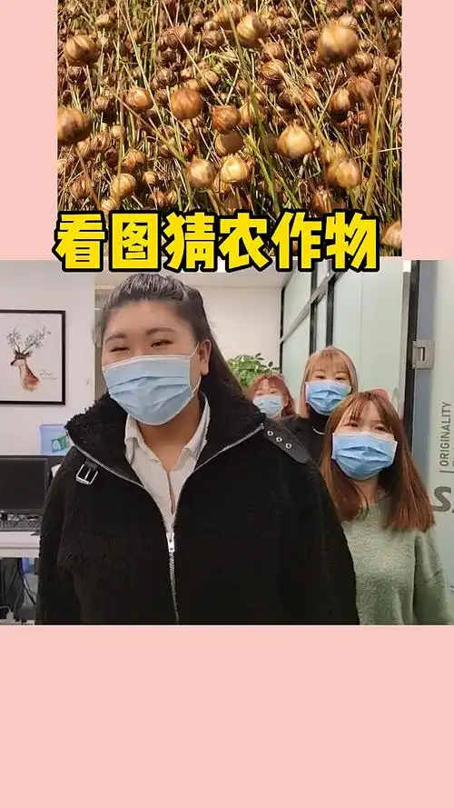 搞笑#看图猜农作物,你认识那些呢?