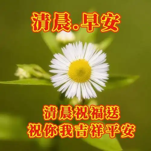 2024年5月28日早安图片,夏日新鲜推出的早安祝福语图片大全