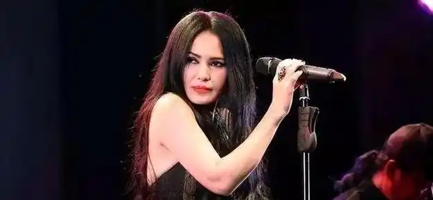 这几位明星的现状一个比一个差|新歌|陈淑桦|徐怀钰|黄光全|潘越云