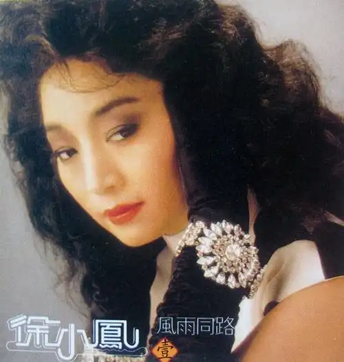 经典中的经典(徐小凤闪闪生辉20首)