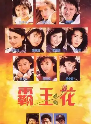 霸王花 1987