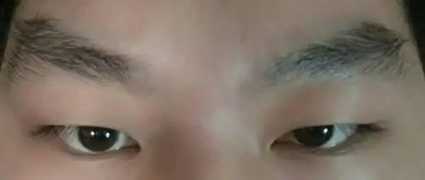 我这是什么眉毛?往上翘的.