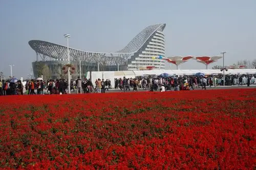 花海——赏中国常州花卉博览会