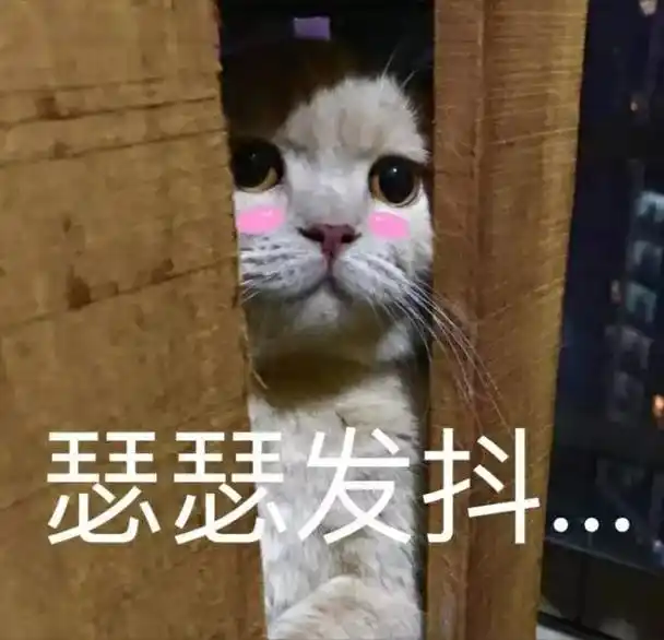 萌宠gif猫咪gif猫gif瑟瑟发抖gif