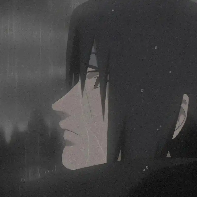 鼬先生,淋雨对身体不好,是在哭泣吗? - 抖音