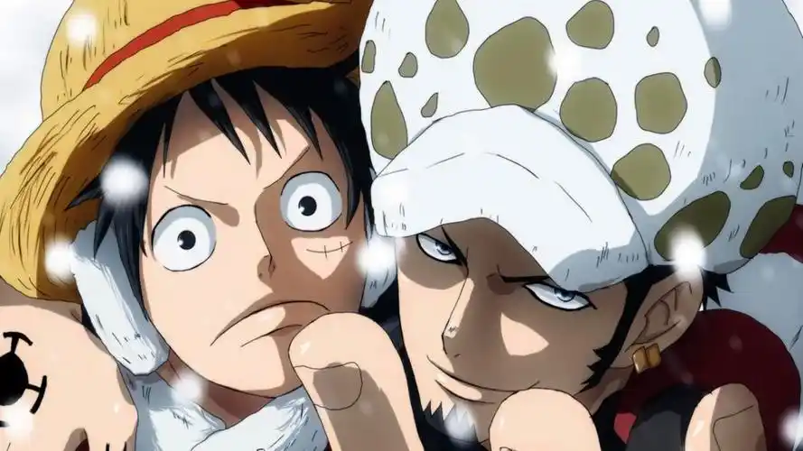 海贼王:死亡外科医生特拉法尔加·罗,op世界最大坑货