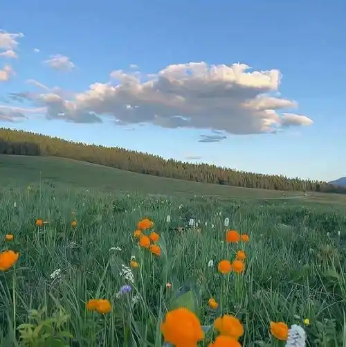 背景图 | 小众ins风朋友圈背景图 676767