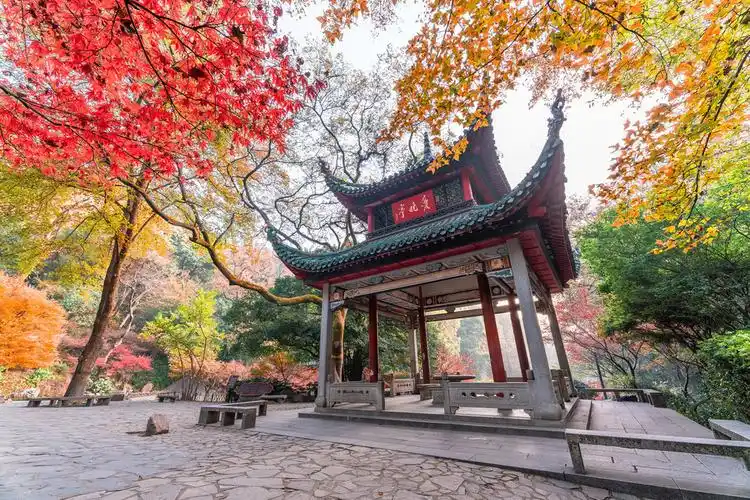 岳麓山景区东门停车场-出口,岳麓山风景名胜区天马山景区管理办公室