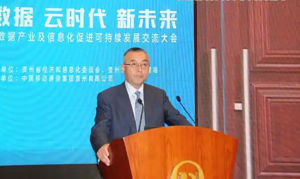 专家齐聚贵阳探讨大数据产业发展