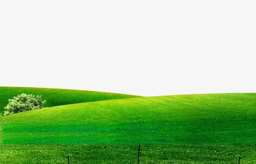 绿色海报_绿色草地png素材-90设计