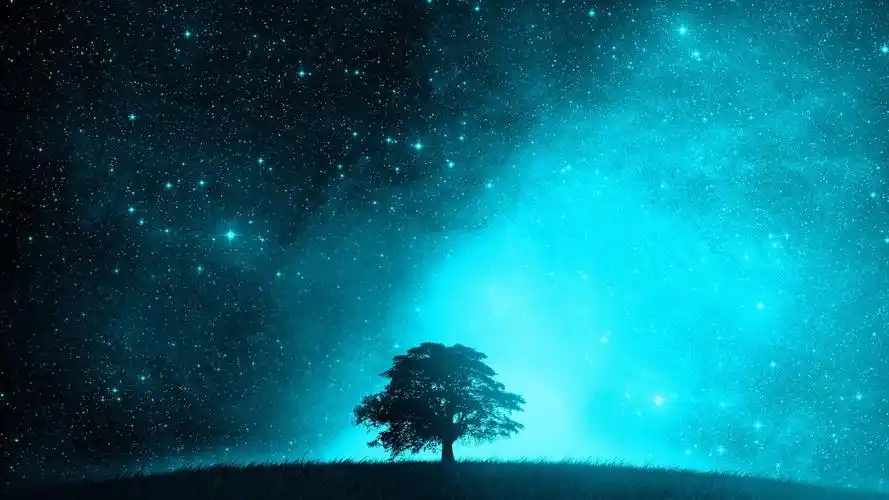 繁星灿烂的夜空1440x900分辨率查看