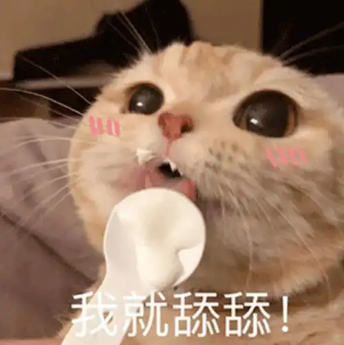 表情包:iphone14 全款拿下_相册_建议_私信