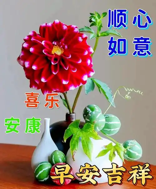 今日最新早上好表情图片大全,相互常问好,健康永不老_问候_祝福_人生