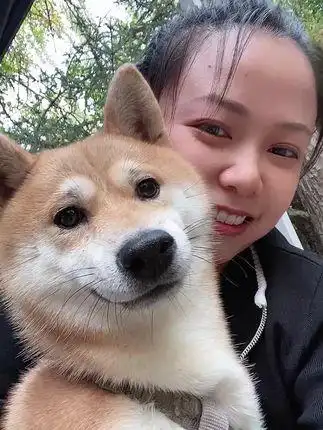 狗子好有镜头感 - 抖音