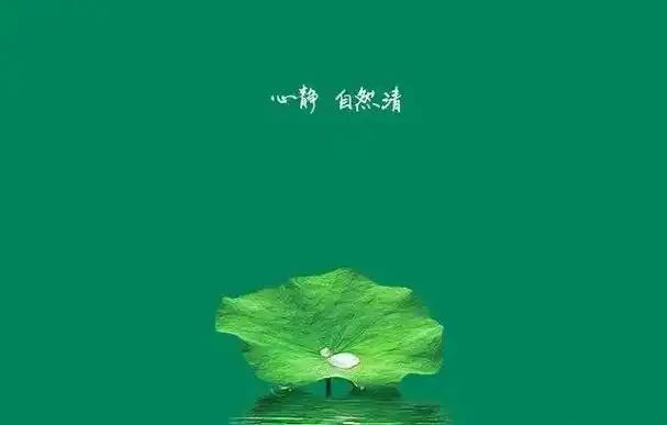 人生就是一个修炼的道场(就是要让自己超脱)(6)