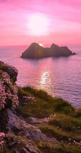 粉色唯美风景壁纸背景图