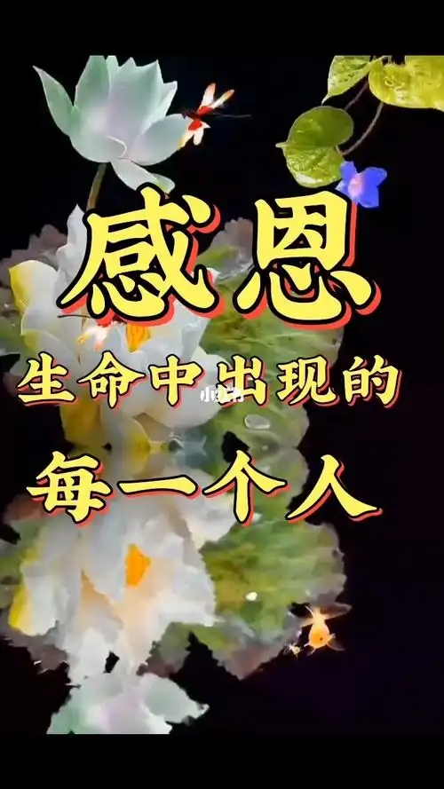 感恩生命中出现的每一个人