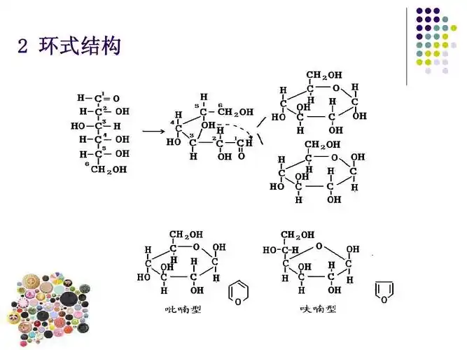 食品化学中的糖   环式结构