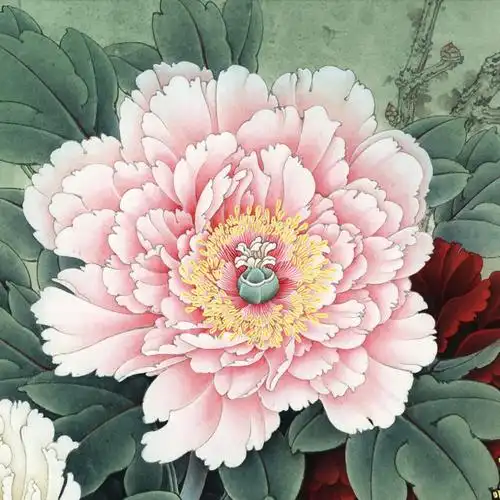 李晓明工笔牡丹《总领群芳唯牡丹》绘制步骤