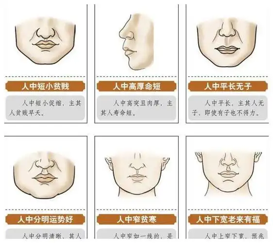 算命先生教你从人中看你是长命或短命