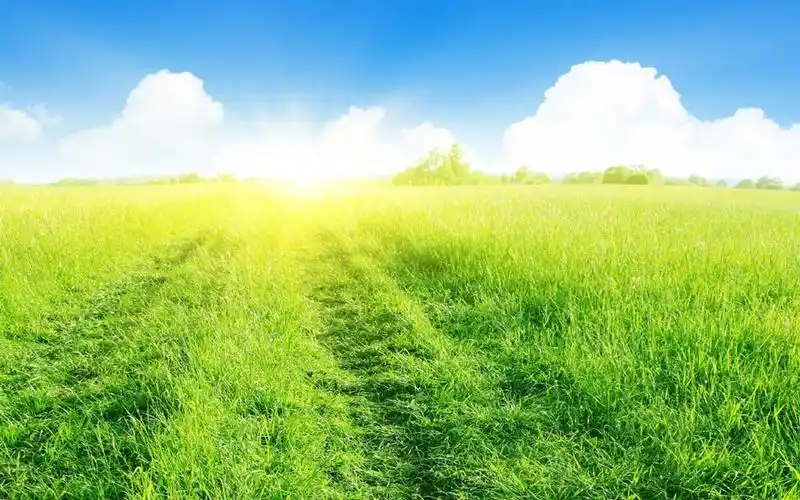 唯美风和日丽自然风光图片桌面壁纸