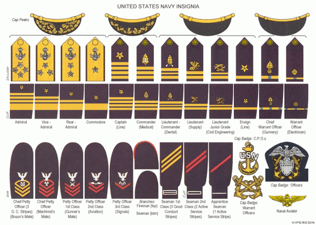 美国海军军衔介绍
