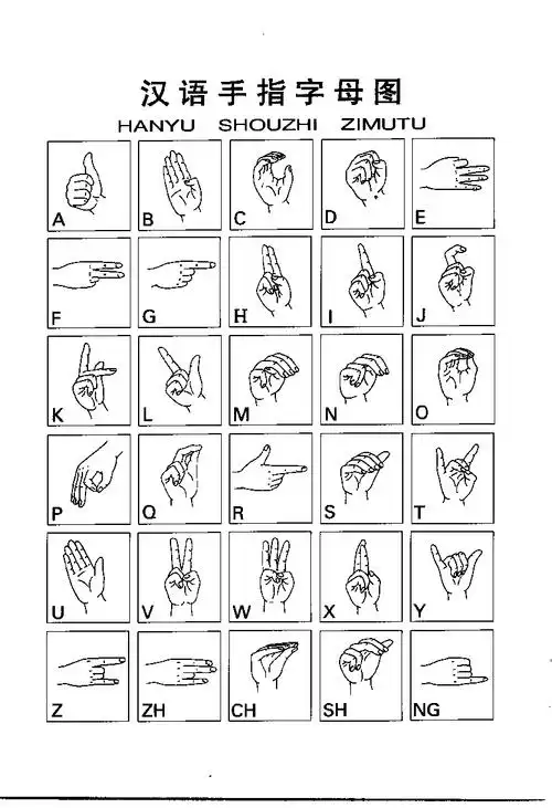 8023手语告白什么意思